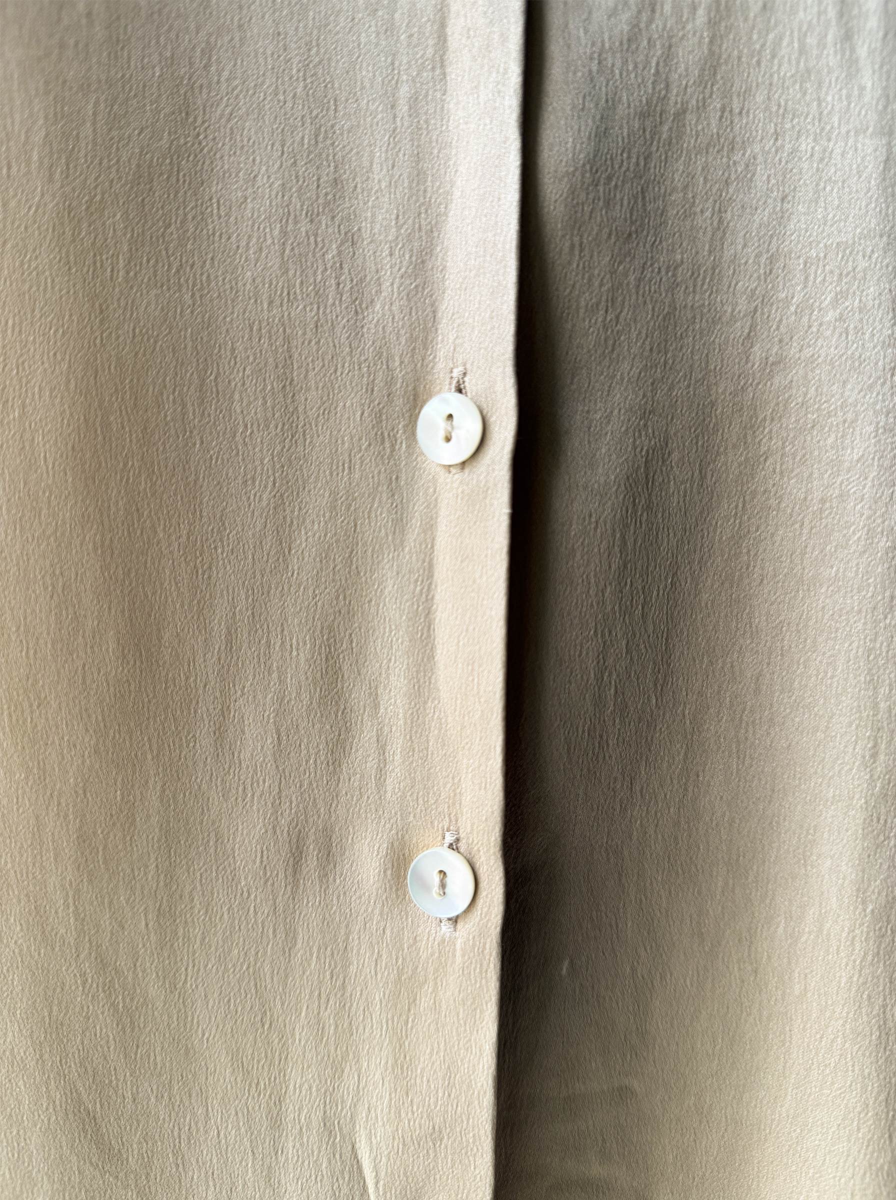 Champagne Silk Blouse - Image 5